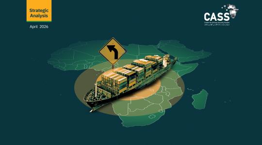 South Africa's Exposure to the Rerouting of International Shipping Lanes