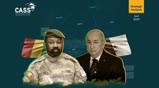Downing of Drone Deepens Divide Between Algeria and Mali