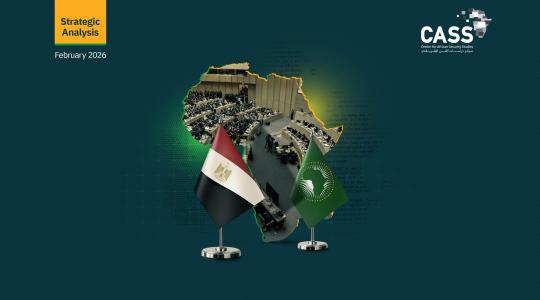 Egypt to Lead AU Peace Council as Crises Grip Africa